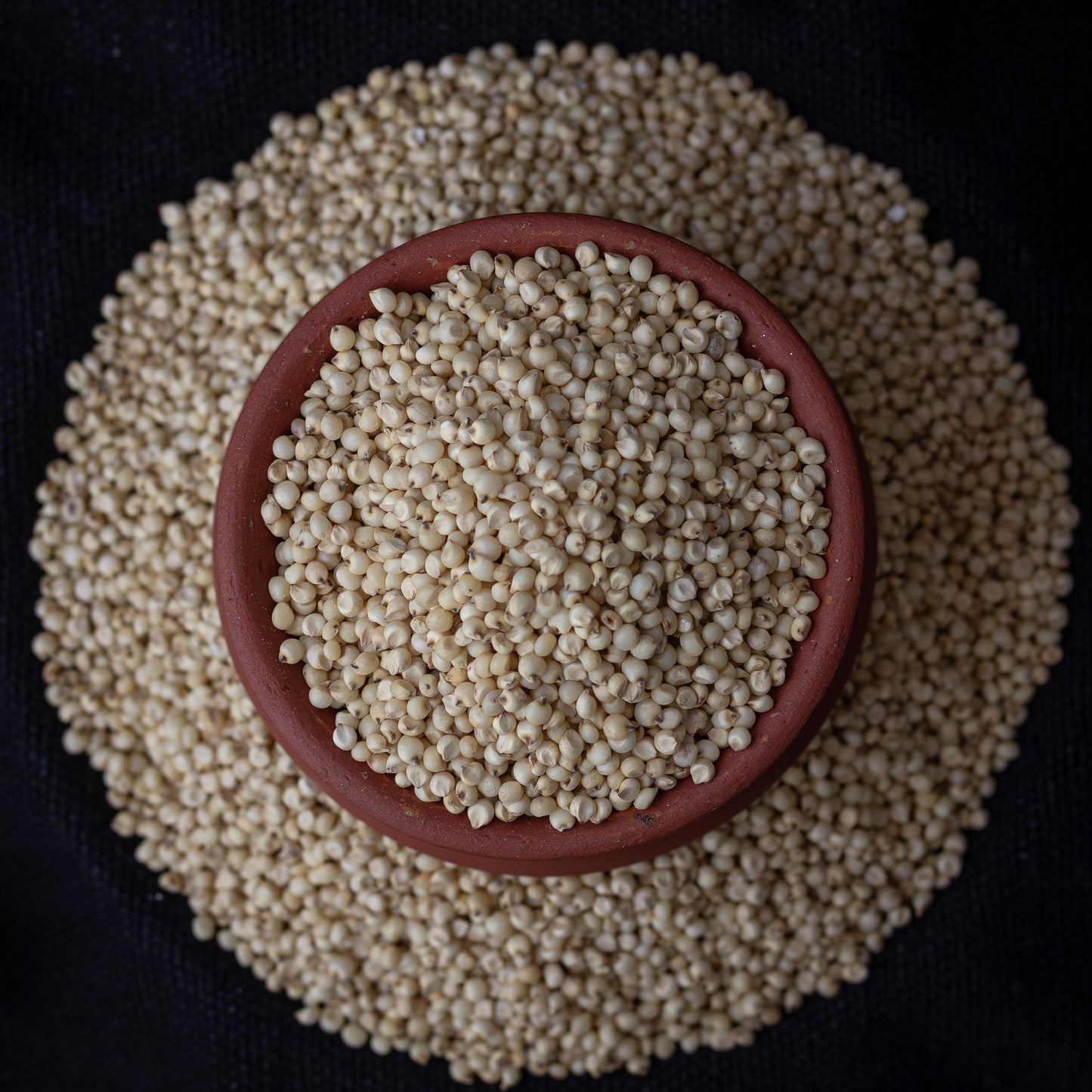 Jowar (Sorghum Millet)